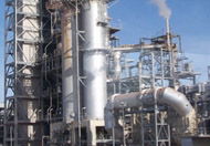         Naphtha